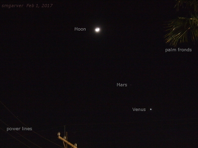 [The Moon is in the upper middle of the image. Mars is a faint dot at about five o'clock in relation to the moon. Venus is a bright white dot at about five o'clock in relation to Mars, but it's closer to Mars than Mars is to the Moon. To the left of each orb is its name in white letters. Palm fronds in the upper right are also labeled as are the electrical power lines and poles in the lower left. ]